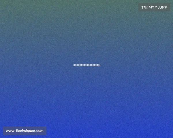 自由搏击赛事等级体系深度解析与实战应用